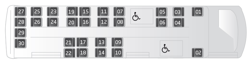 ie-bus-12-(05)